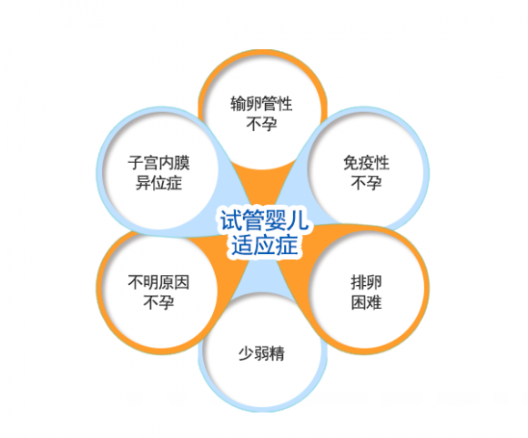 IVF适应症.png